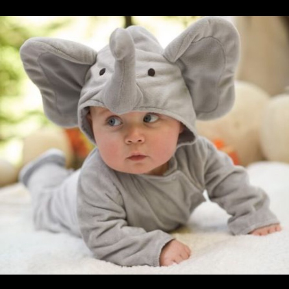 Pottery Barn Elephant Costume 6-12 months